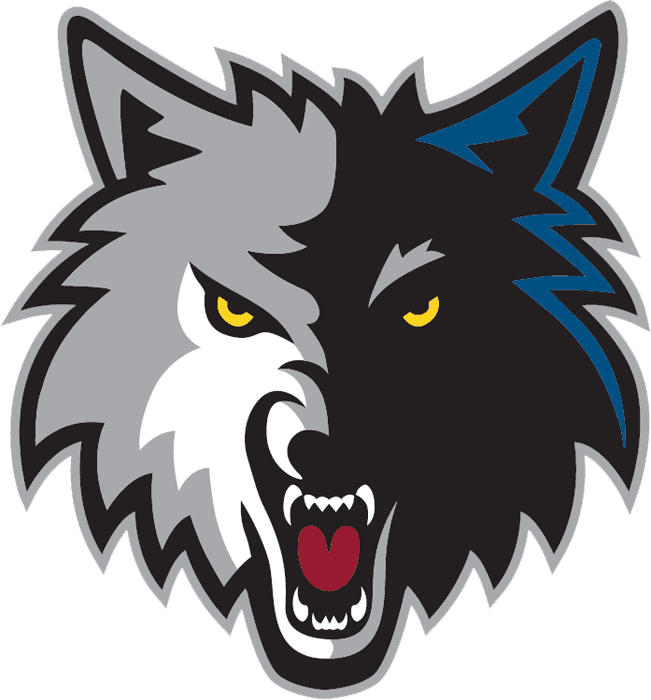 Minnesota Timberwolves 2008-2017 Alternate Logo iron on transfers for clothing